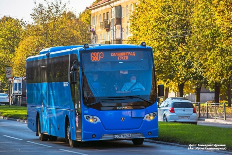 14 автобус калининград