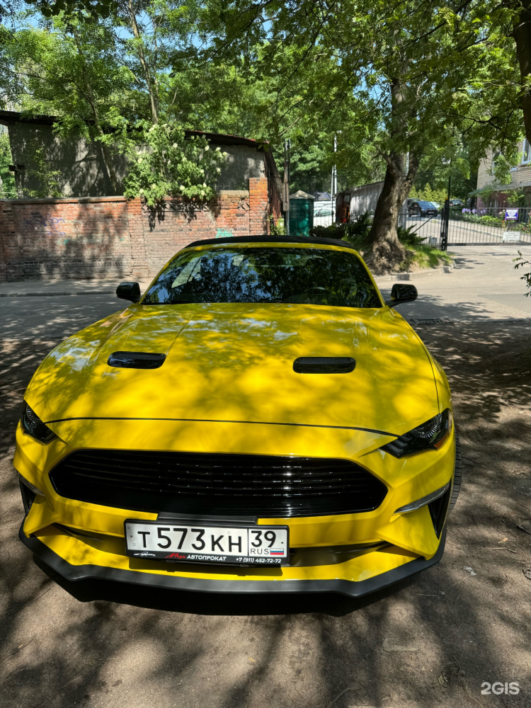 Амиго калининград автопрокат