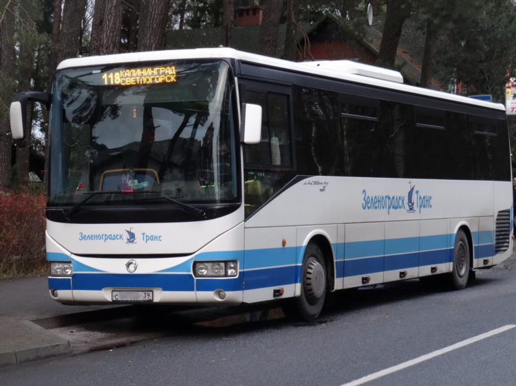 Автобус в светлогорск из калининграда