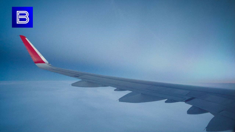 Билет на самолет калининград мурманск
