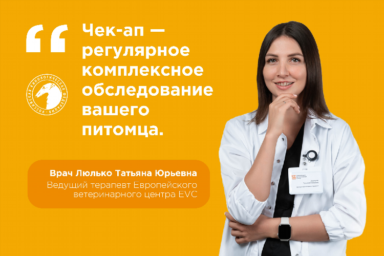 Чек ап калининград