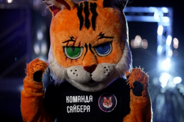 Четыре лапы калининград