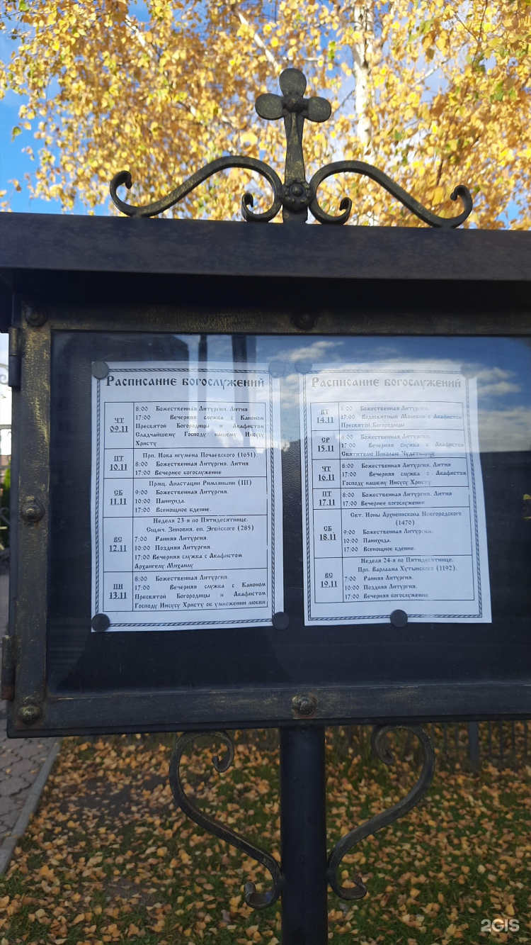 Экомед калининград панина