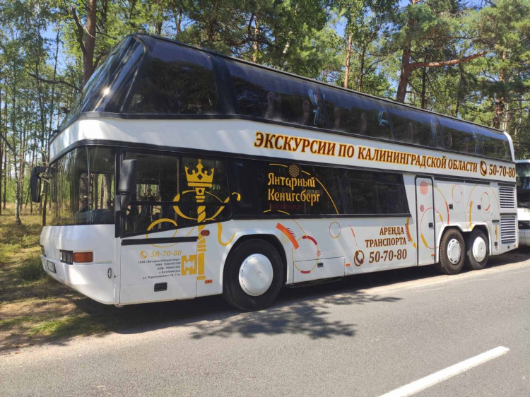 Где 25 автобус калининград