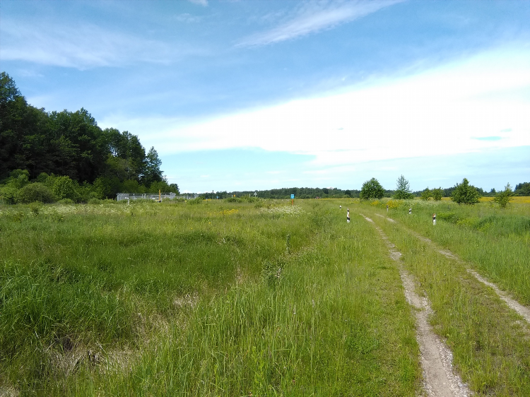 Grass калининград