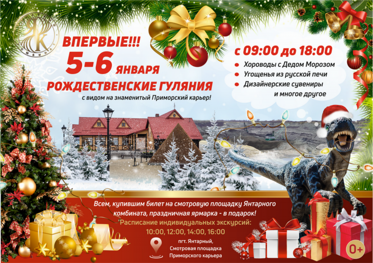 Янтарный калининград расписание