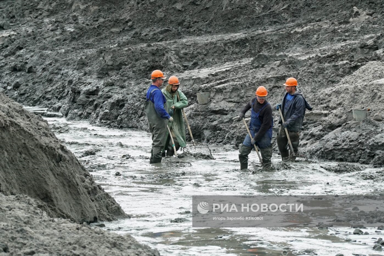 Янтарный карьер в калининграде