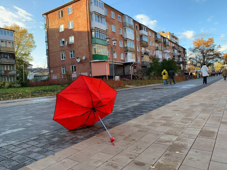 Какая погода в калининграде в ноябре