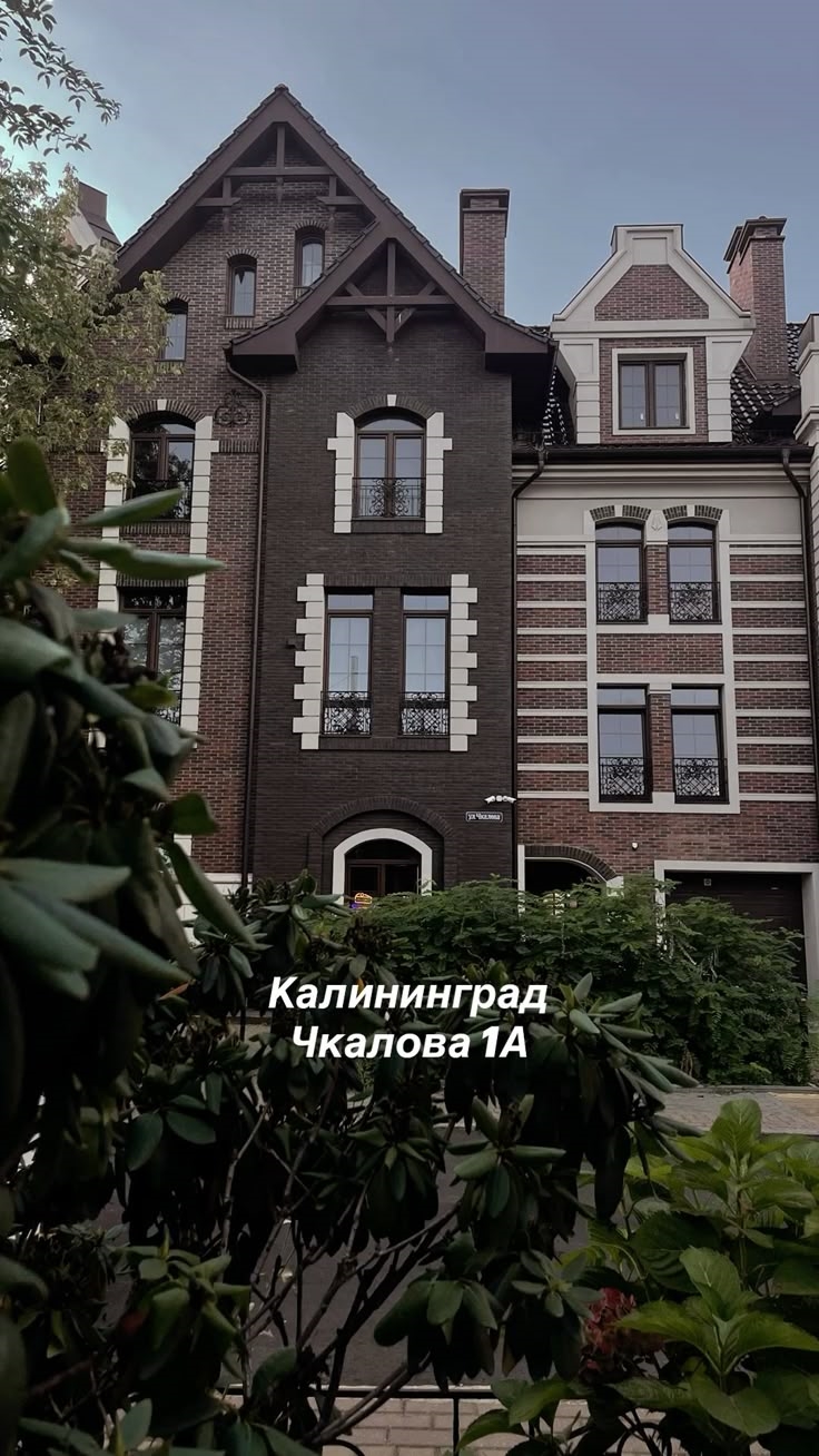 Калина калининград