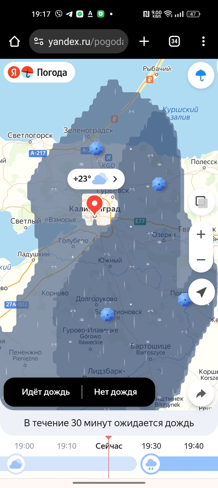 Калининград летом погода