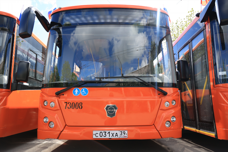 Калининград северный пионерский автобус