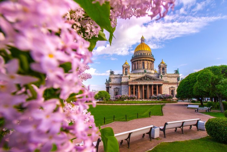 Калининград туры из спб