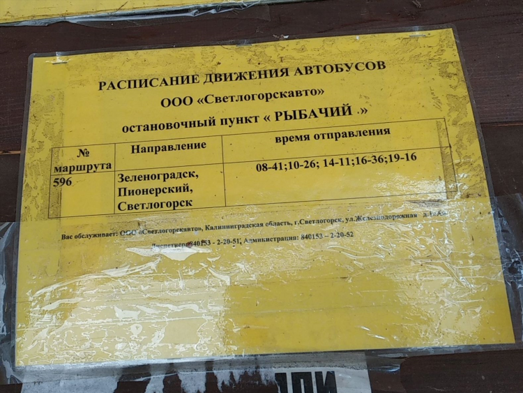 Калининград железнодорожный расписание автобусов