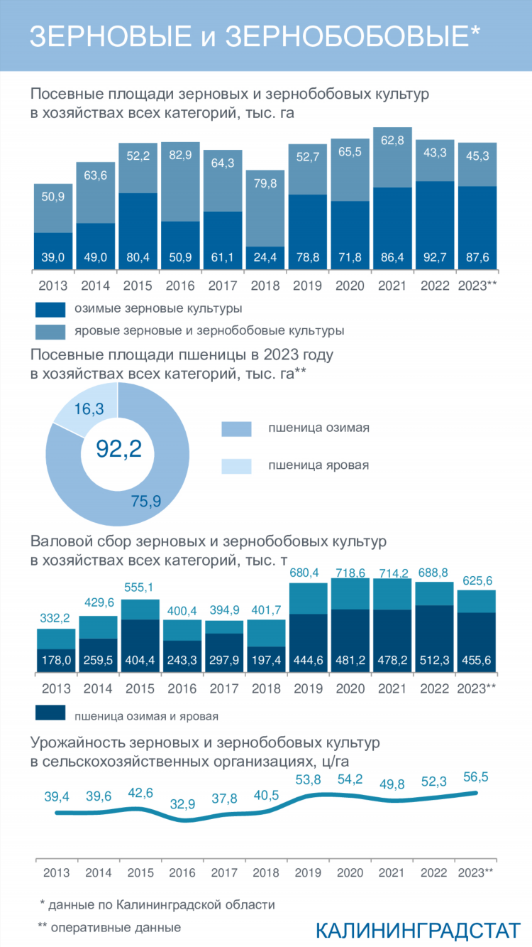 Калининградстат официальный сайт главная страница