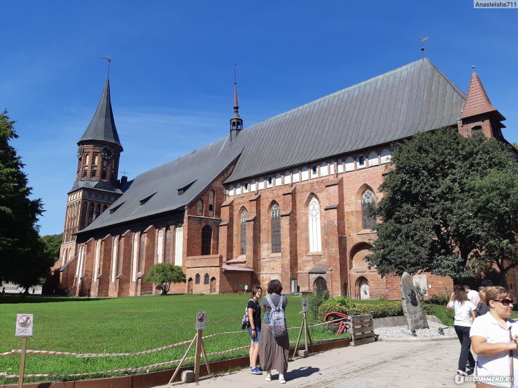 Холмины в калининграде фото