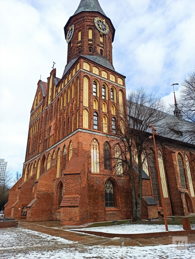 Хомлины в калининграде история