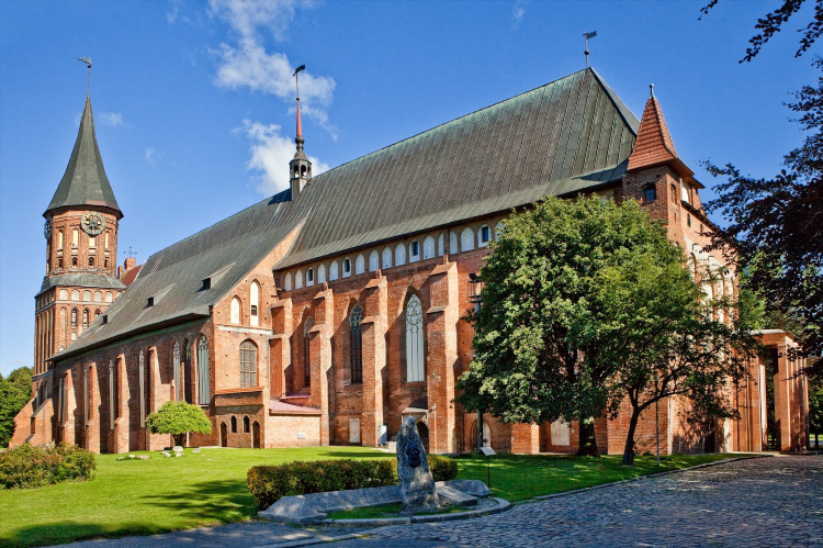 Комары в калининграде