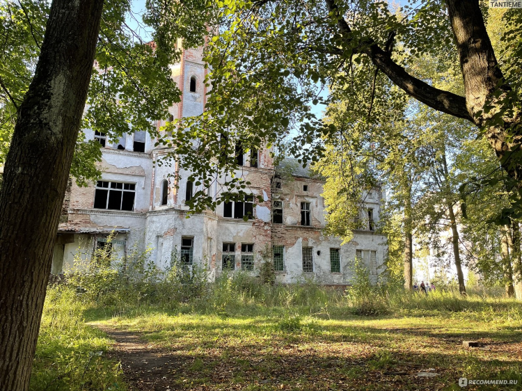 Консультант плюс калининград
