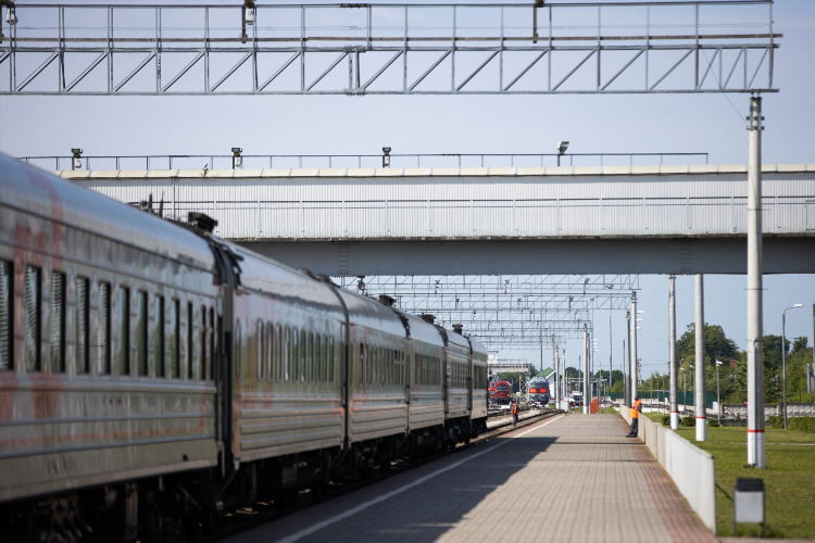 Ласточка калининград северный зеленоградск