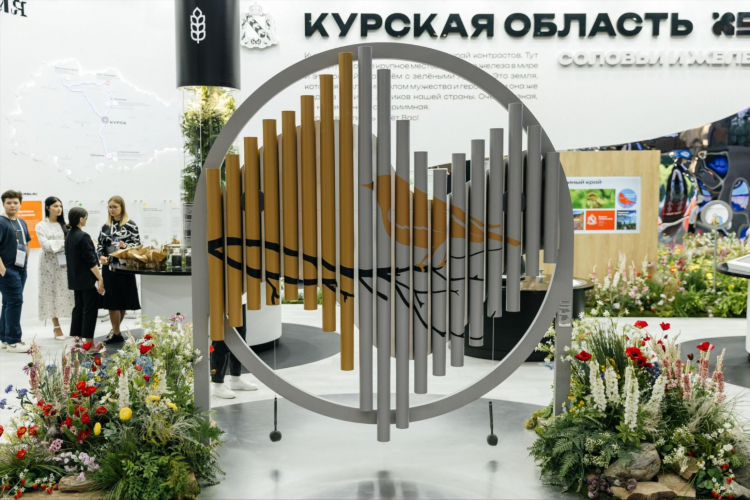 Лира калининград музыкальный магазин