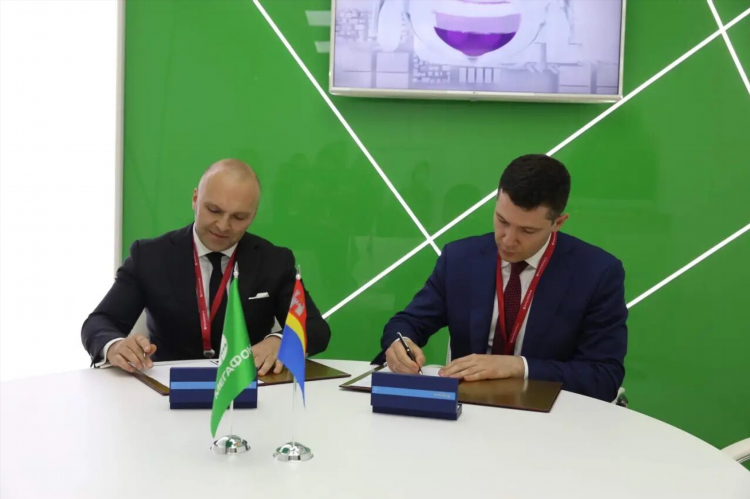 Мегафон в калининграде