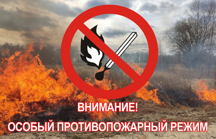 Новости калининграда и калининградской области сегодня