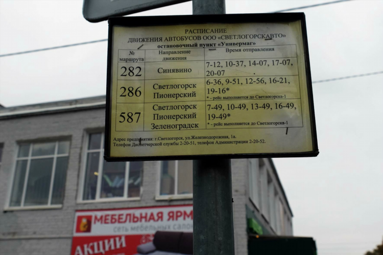 Пионерский калининград автобус расписание на сегодня