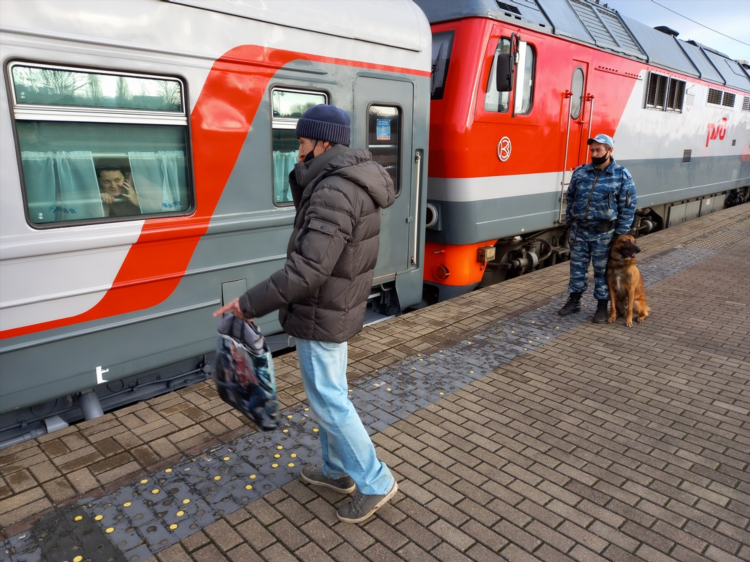 Поезд янтарь калининград москва