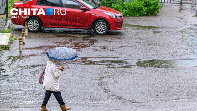Погода в калининграде гисметео ру