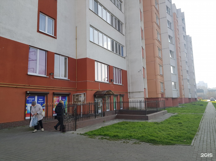 Продвижение калининград
