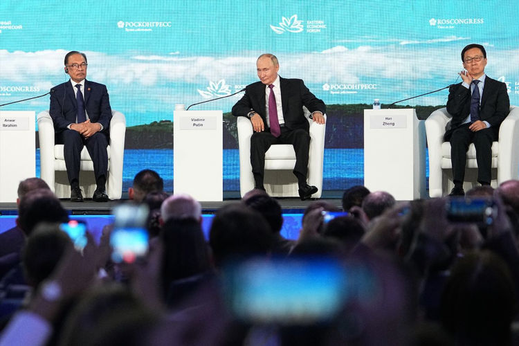 Программа земский доктор калининград