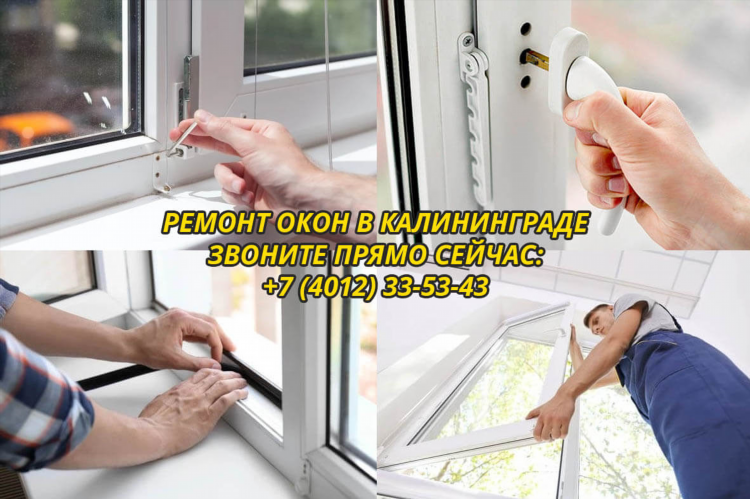 Ремонт телефона калининград