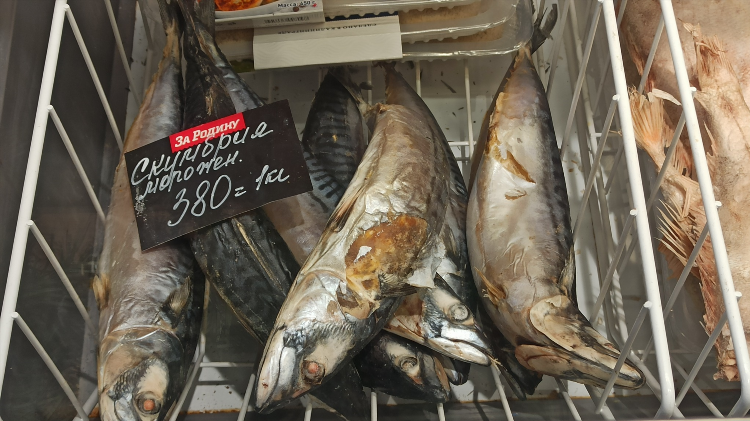 Рыба в калининграде