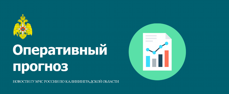 Сайт областного суда калининградской области