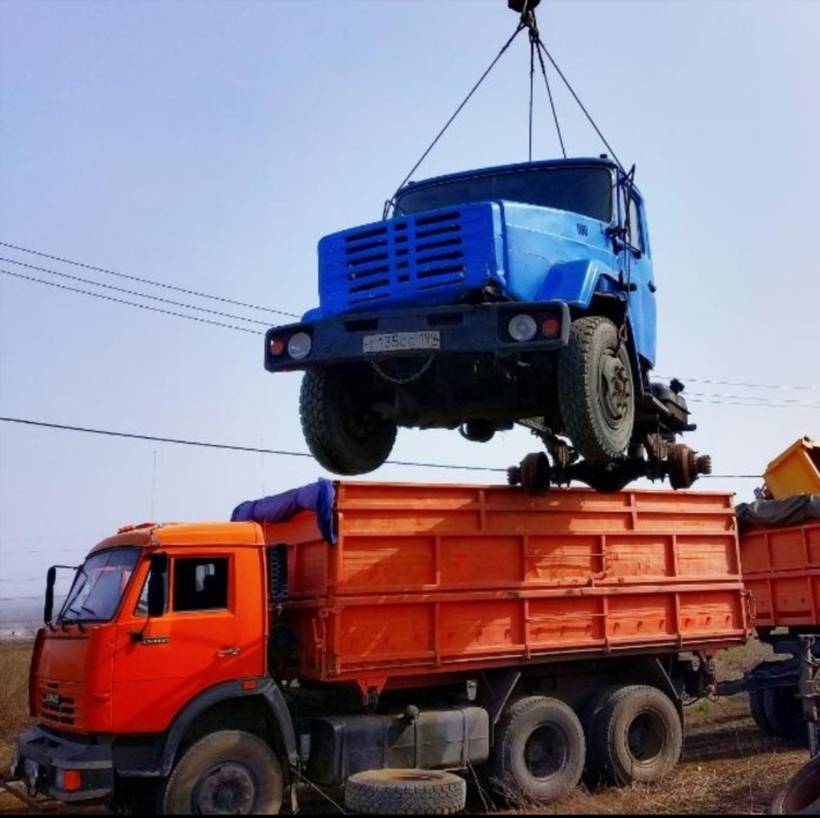 Шмеленок калининград