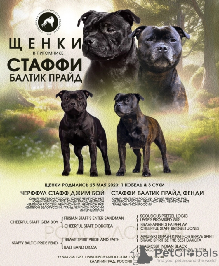 Сколько ехать на поезде в калининград