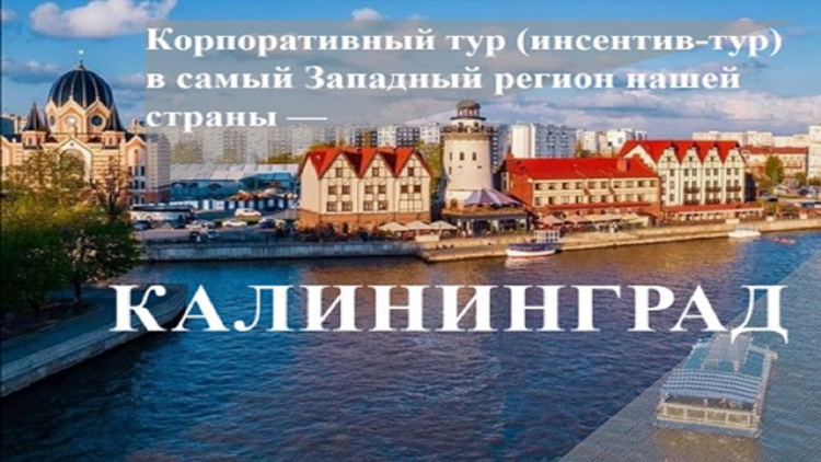 Транс бизнес консалтинг калининград