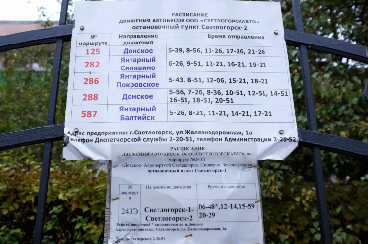 Цена такси от аэропорта калининграда до светлогорска