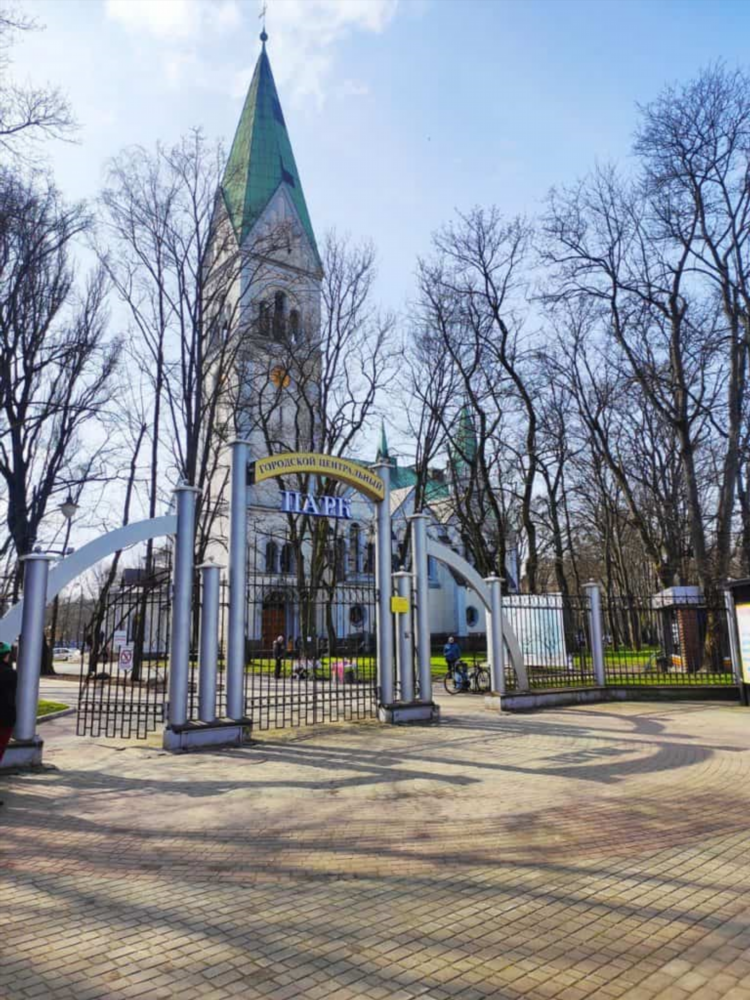 Центральный парк культуры и отдыха в калининграде