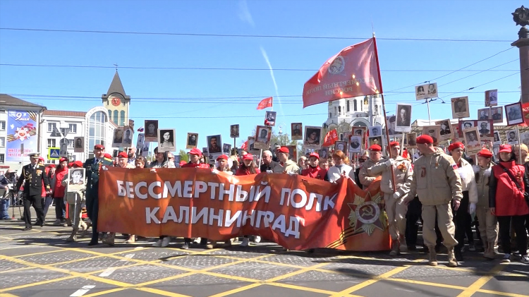 Вести калининград смотреть онлайн