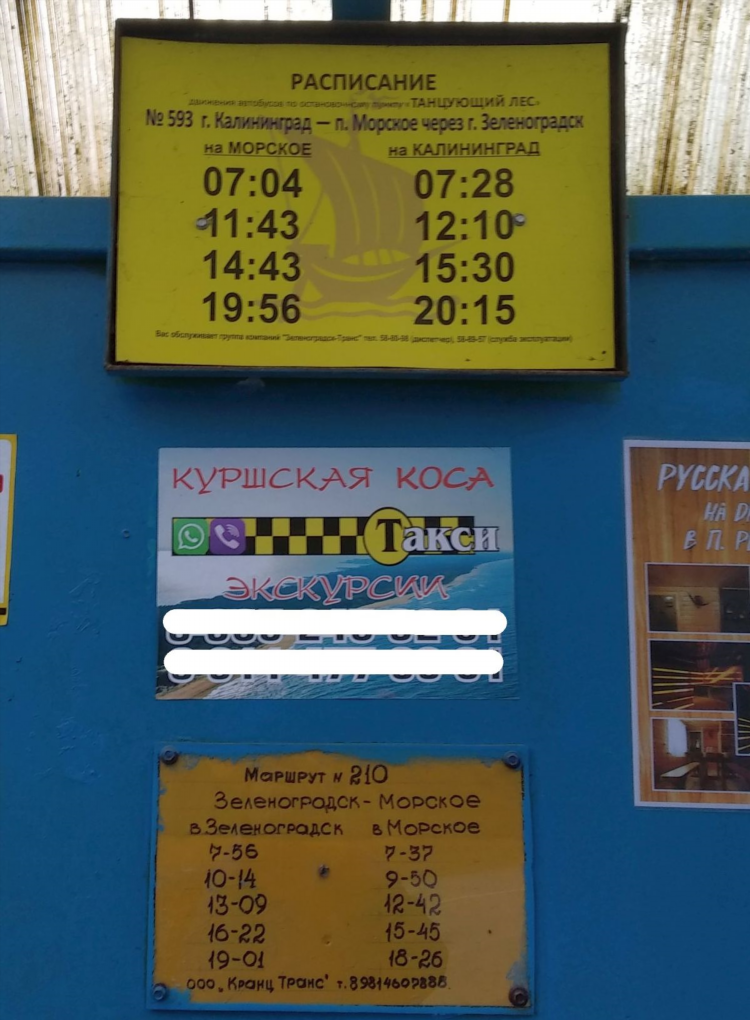 Зеленоградск калининград расписание